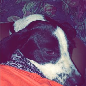 Meet your Posher, Sierra